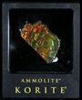 Brilliant Iridescent Ammolite With Display Case #31684-1